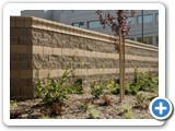 Sutter Gould Medical Foundation, Wall: Modesto CA